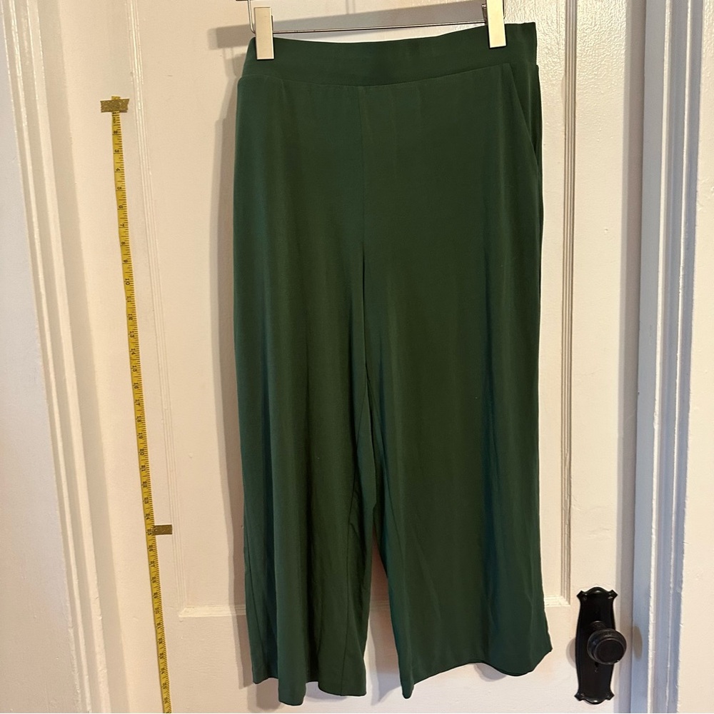 Torrid Olive Green Pant
